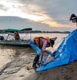 Mais de 100 botos morrem em lago superaquecido no Amazonas  Foto: Miguel Monteiro/Instituto Mamirauá