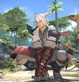 Jogador obtém todas as conquistas de Final Fantasy XIV após 10 anos.  Foto: Reprodução/Square Enix