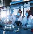 Imagem meramente ilustrativa de dois cientistas  Foto: gorodenkoff / iStock
