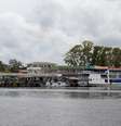 Defensoria apura fraudes no uso de terras públicas na Amazônia para venda de créditos de carbono em Portel, no Pará  Foto: Getty Images/Tarcisio Schnaider