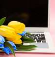  Foto: Adobe Stock