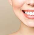 Alguns hábitos diários podem danificar os dentes -  Foto: Shutterstock / Alto Astral