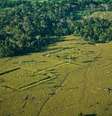 Obras de terra identificadas na paisagem amazônica  Foto: Mauricio de Paiva/Inpe