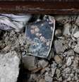Foto de um casamento no chão de prédio atingido por foguetes de Gaza em Ashkelon
09/10/2023
REUTERS/Amir Cohen   Foto: Reuters