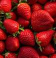 O morango previne o câncer e ajuda a emagrecer -  Foto: Shutterstock / Alto Astral