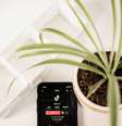 TikTok reforçou equipe de segurança e trabalha em conjunto com agências de checagem de fatos para monitorar conteúdos sobre a guerra Israel-Hamas (Imagem: Collabstr/Unsplash)  Foto: Canaltech