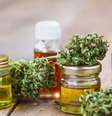 Importação de produtos à base de cannabis - Shutterstock  Foto: Sport Life