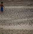 País enfrenta crise climática com queda de orçamento previsto para o Meio Ambiente. Em Manaus, um menino caminha pelas redondezas do Rio Negro, que atingiu sua maior seca em 121 anos  Foto: Reprodução/REUTERS/Bruno Kelly
