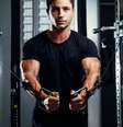 Três erros comuns no treino de peitoral - Shutterstock  Foto: Sport Life