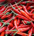 Para o Guinness World Records, a pimenta mais ardida do mundo é Pepper X (Imagem: Elle Hughes/Unsplash)  Foto: Canaltech