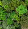  Foto: Climatempo