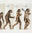 A evolução dos hominídeos tem se provado cada vez mais distante dessa clássica imagem — nossos ancestrais se reproduziram entre si, geraram caminhos evolutivos sem saída e voltaram a se misturar até chegarmos no ponto atual da evolução (Imagem: DEA Picture Library)  Foto: Canaltech
