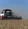 El Niño continuará até meados de 2024, ameaçando a agricultura  Foto: Reuters