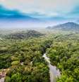 Junto a avanços importantes em comunidades que não tinham internet, expansão da Starlink na Amazônia também impulsiona atividades ilegais, apontam autoridades  Foto: Getty Images / BBC News Brasil