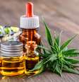 Cannabis medicinal pode tratar doenças reumáticas; veja quais -  Foto: Shutterstock / Saúde em Dia