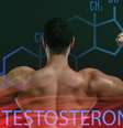 Três dicas para aumentar a testosterona - Shutterstock  Foto: Sport Life