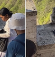 Macacos em Bali roubam celulares para negociá-los por comida  Foto: Reprodução/Instagram:@vocesabia