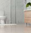 Saiba como não cometer erros na limpeza do banheiro - Shutterstock  Foto: Alto Astral