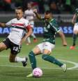Rafinha   Foto: Cesar Greco/Palmeiras/by Canon / Esporte News Mundo