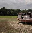 Se o desmatamento ultrapassar 20 a 25% e a temperatura global aumentar 2,5°, degradação extrema da Amazônia se torna irreversível.</p><p>  Foto: DW / Deutsche Welle