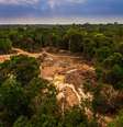 O desmatamento descontrolado ameaça a biodiversidade global.  Foto:  Getty Images  / Tecmundo
