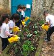 Adubo produto da compostagem é usado por alunos em horta  Foto: Divulgação/Instituto Lixo Zero Baixada Santista