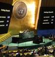 Assembleia Geral da ONU aprova resolução que pede trégua humanitária em Gaza  Foto: REUTERS/Mike Segar