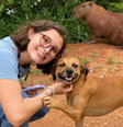 Cachorro caramelo aparece sorrindo em foto e viraliza  Foto: Reprodução/Twitter