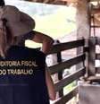 Os aliciadores ganhavam R$ 43 mensais por cada trabalhador que conseguiam atrair para os empregadores  Foto: Divulgação/Ministério do Trabalho