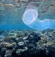 Temperatura dos oceanos bate recorde em novembro  Foto: Canaltech
