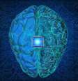 AVC: implantes cerebrais podem reduzir sequelas? Entenda -  Foto: Shutterstock / Saúde em Dia