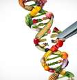 DNA influencia preferência por alimentos; entenda -  Foto: Shutterstock / Saúde em Dia