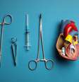 A segunda pessoa do mundo a receber o transplante de um coração de porco morre após quase seis semanas da cirurgia (Imagem: Freepik)  Foto: Canaltech