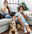 Veja dicas para tirar o cheiro de cachorro da casa - Shutterstock  Foto: Alto Astral