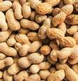O amendoim é rico em fibras, vitaminas e minerais -  Foto: Shutterstock / Alto Astral