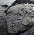  Foto: Climatempo