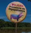 Um aviso em espanhol sobre hipopótamos na Colômbia  Foto: Getty Images / BBC News Brasil
