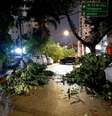 Árvore e galhos caídos na Rua Maria Figueiredo, no Paraíso, São Paulo, após vendaval e chuva forte na tarde desta sexta-feira, 3  Foto: Alexandre Calais/Estadão / Estadão