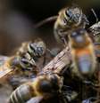  Foto: Reuters