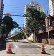 Árvore caída, devido ao temporal da última sexta-feira, 3, na Rua Marambaia, no bairro da Casa Verde, na zona norte da cidade de São Paulo.  Foto: Felipe Rau/Estadão / Estadão