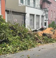 Queda de árvore no Centro de Manaus  Foto: Reprodução/TV Globo