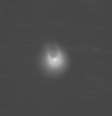 O 12P/Pons-Brooks ganhou o apelido em razão da formação de dois "chifres" compostos de gelo e gás   Foto: Reprodução/@VirtualTelescop/X