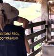 No Brasil, quem submeter alguém à condição análoga à de escravo pode ser condenado a pena de dois a oito anos de prisão  Foto: Divulgação/Ministério do Trabalho