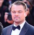 Aniversário Leonardo DiCaprio: relembre suas principais lutas como ativista -  Foto: shutterstock / todateen