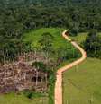 Área desmatada na Amazônia  Foto: DW / Deutsche Welle