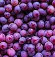 Veja como usar esta fruta em seus rituais -  Foto: Shutterstock / João Bidu
