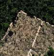 Área desmatada da floresta amazônica   Foto: Reuters