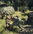 Dragon's Dogma  Foto: Voxel