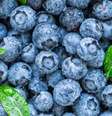 O mirtilo é uma fruta rica em antioxidantes -  Foto: Shutterstock / Alto Astral