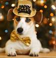 Tenha atenções especiais com seu cão no fim de ano - Shutterstock  Foto: Alto Astral